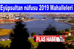 EYÜPSULTAN NÜFUSU 2019 MAHALLELERİ