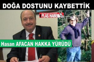 20109, 2014 yılları arasında CHP İBB ve Eyüpsultan Belediye Meclis üyeliği görevini yapan Afacan Çevre ve doğa dostu olarak bir döneme damga vurmuştu.