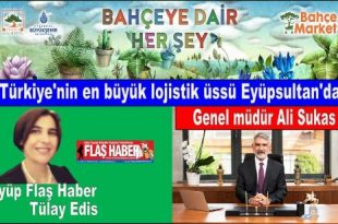 Tülay Edis haber